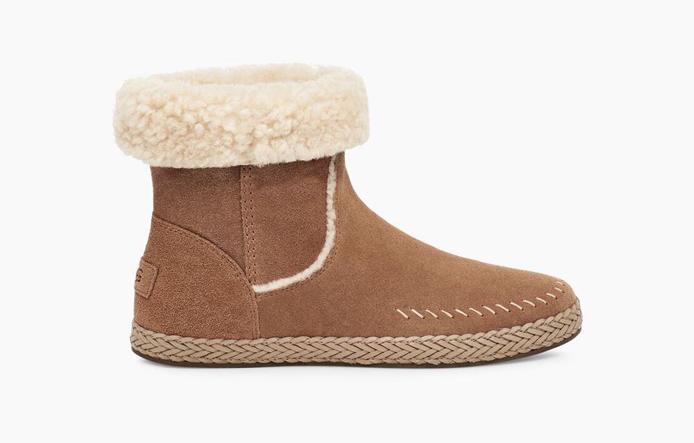 Ugg Classic Boot Womens - Ugg Ailish Brown - 710FAMRQL